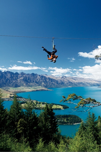 'Zipper' zips through the forest with the Remarkables in the background. 